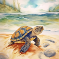 Turtling around