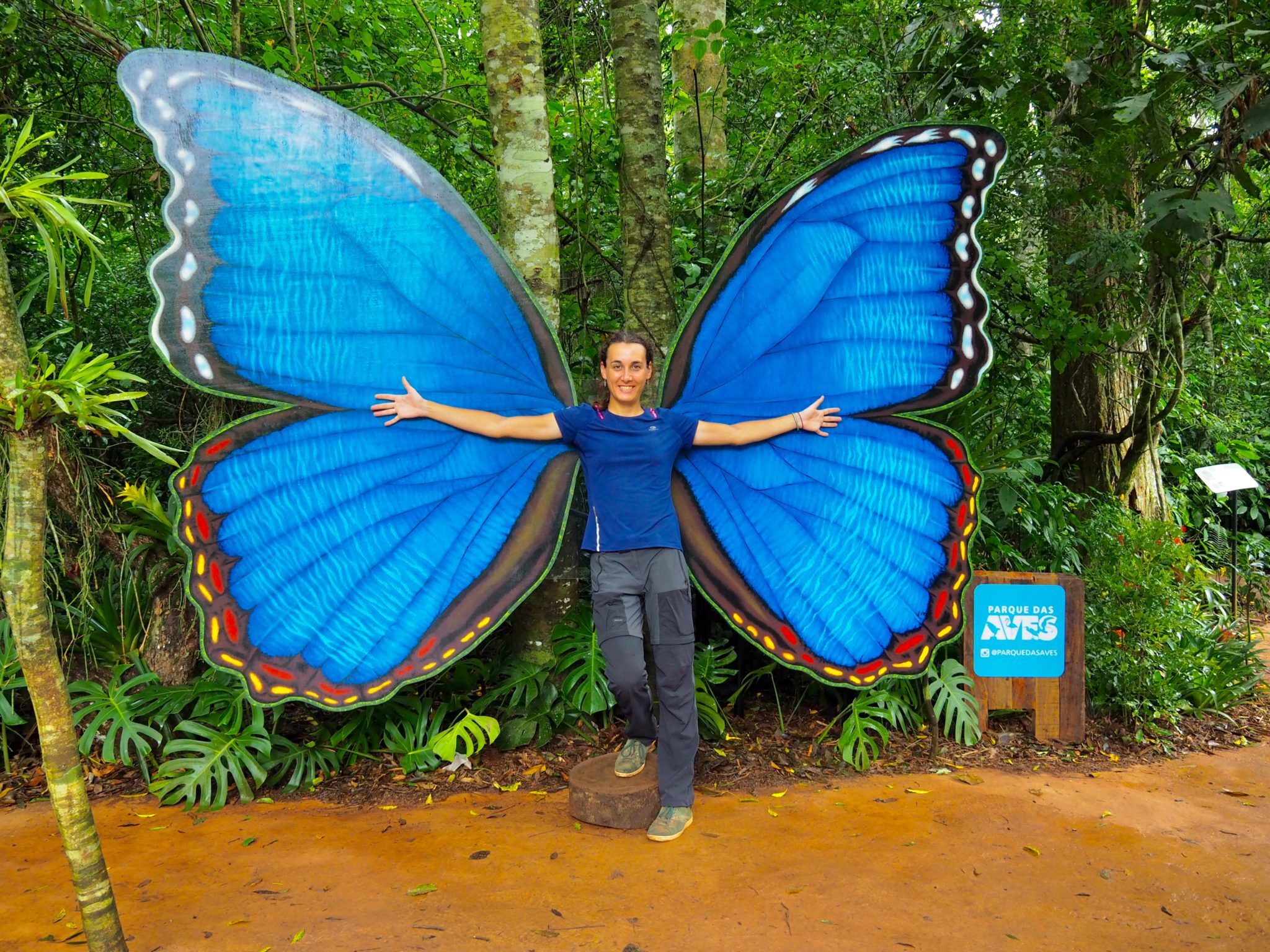 Featured image of post Episode II: The return of the cyclist