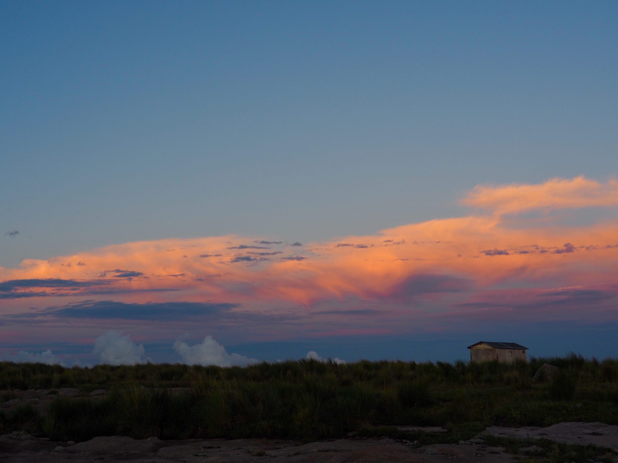 Featured image of post A horse with no name