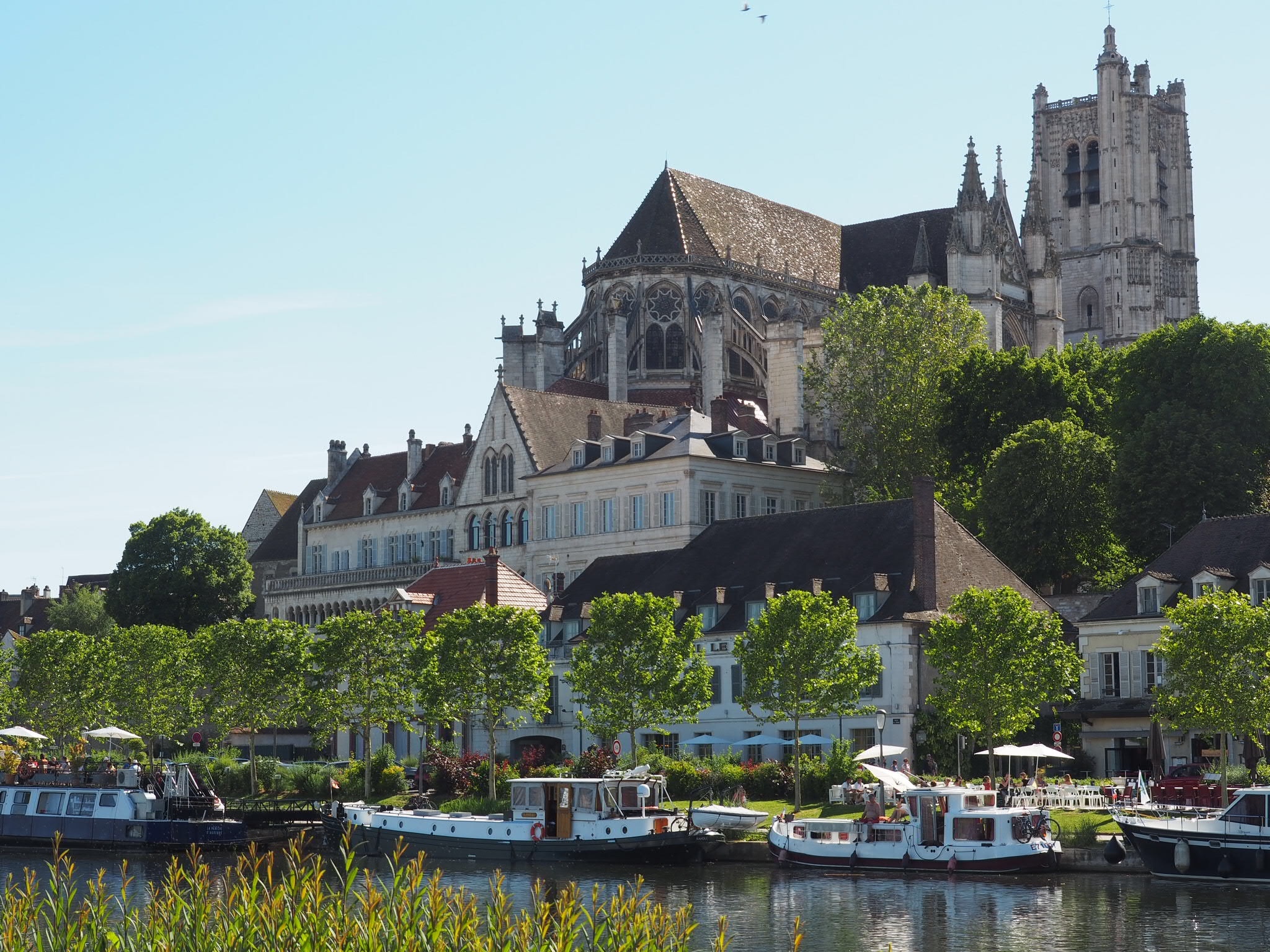 Featured image of post Lush life giving me a rush